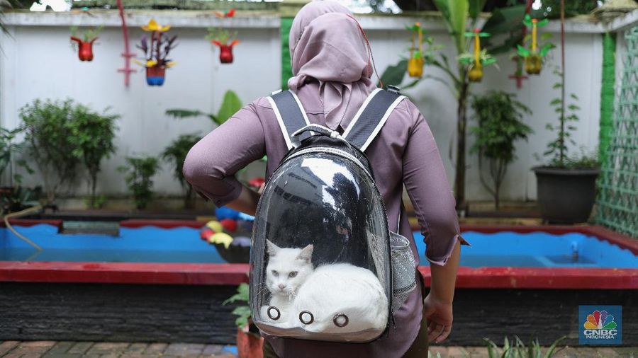 Vaksin Rabies umtuk Hewan Peliharaan (CNBC Indonesia/Tri Susilo)