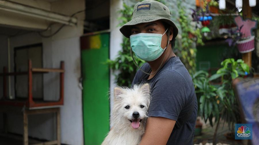 Vaksin Rabies umtuk Hewan Peliharaan (CNBC Indonesia/Tri Susilo)