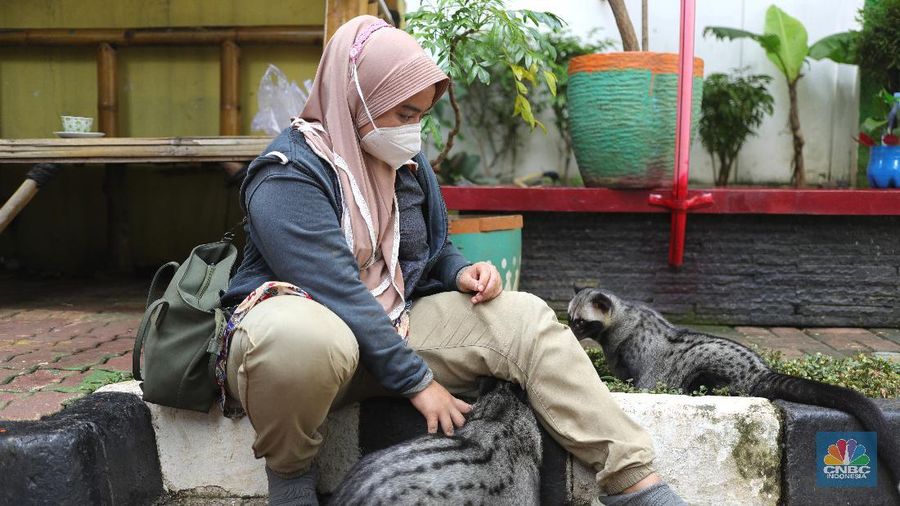 Vaksin Rabies umtuk Hewan Peliharaan (CNBC Indonesia/Tri Susilo)
