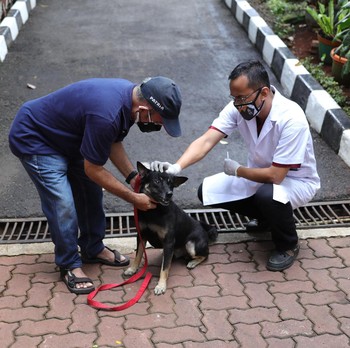 Ramai Warga DKI Bawa Hewan Peliharaan Untuk Vaksinasi Rabies