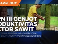 Ambil Peluang Pandemi, PTPN III Genjot Produktivitas Sawit