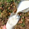 6 Jenis Makanan & Minuman yang 'Haram' Dikonsumsi Penderita Asam Urat