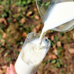 6 Jenis Makanan & Minuman yang 'Haram' Dikonsumsi Penderita Asam Urat