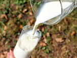 Deretan Manfaat Susu Kambing untuk Kesehatan, Cek Nih