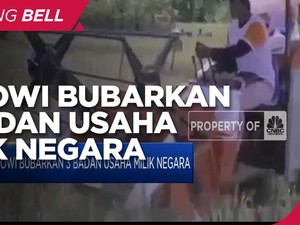 Jokowi Bubarkan 3 BUMN: Bhanda Ghara Reksa, Perinus dan Perta