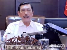 Kasus Covid-19 Melandai, Luhut: Tidak Boleh Berpuas Diri!