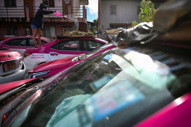 Akibat Pandemi Taksi di bangkok Thailand dijadikan Untuk menanam Sayuran A worker plants vegetables on a roof of unused taxi due to the business crisis caused by the coronavirus disease (COVID-19) pandemic at a taxi garage in Bangkok, Thailand, September 16, 2021. Picture taken September 16, 2021. REUTERS/Chalinee Thirasupa