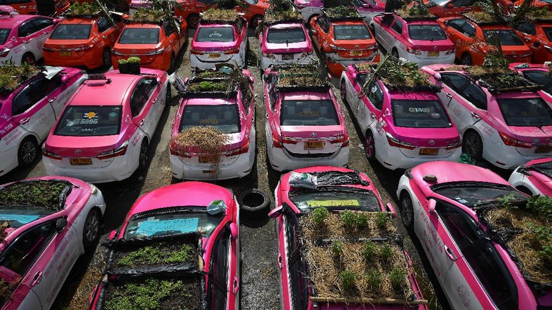 A worker plants vegetables on a roof of unused taxi due to the business crisis caused by the coronavirus disease (COVID-19) pandemic at a taxi garage in Bangkok, Thailand, September 16, 2021. Picture taken September 16, 2021. REUTERS/Chalinee Thirasupa