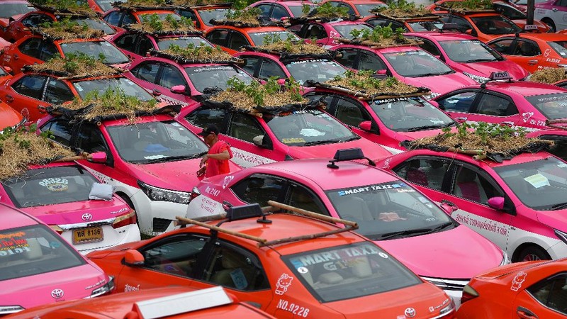 A worker plants vegetables on a roof of unused taxi due to the business crisis caused by the coronavirus disease (COVID-19) pandemic at a taxi garage in Bangkok, Thailand, September 16, 2021. Picture taken September 16, 2021. REUTERS/Chalinee Thirasupa