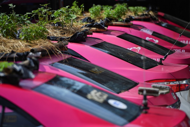 A worker plants vegetables on a roof of unused taxi due to the business crisis caused by the coronavirus disease (COVID-19) pandemic at a taxi garage in Bangkok, Thailand, September 16, 2021. Picture taken September 16, 2021. REUTERS/Chalinee Thirasupa