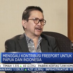 Bos PTFI: Papua Dapat Pajak Daerah Rp8 T/Tahun dari Freeport