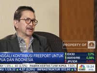 Bos PTFI: Papua Dapat Pajak Daerah Rp8 T/Tahun dari Freeport