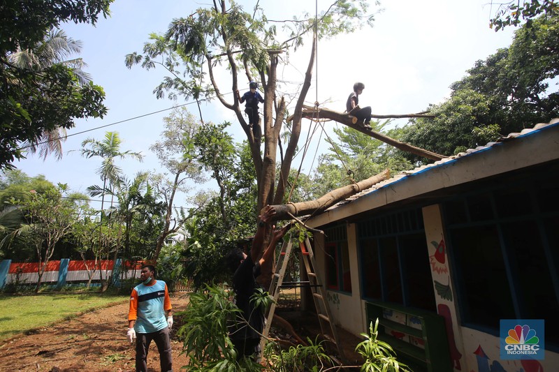 Puting beliung akibat curah hujan tinggi di Depok Sejumlah relawan dibantu para guru sekolah alam saat melakukan evakuasi pohon tumbang akibat puting beliung di Depok, Jawa Barat, Rabu 22 September 2021. Kawasan Depok dilanda hujan angin hingga hujan es di daerah Beji, Kota Depok kemarin (21/9) sore. Akibat hujan angin di Depok, pohon tumbang pun tak bisa dielakkan. Berdasarkan data Pemadam Kebakaran (Damkar), setidaknya ada enam lokasi pohon tumbang di Depok. Sejumlah relawan hingga kini mengevakuasi potongan pohon yg menimpa bagian yang rusak kanopi. Akibat kejadian tersebut proses kegiatan belajar mengajar untuk sementara diberhentikan. Salah satu guru di sekolah alam, Ode mengatakan tidak ada korban jiwa. Kerugian hanya materil dan pohon yang menimpa atap sekolah. (CNBC Indonesia/ Muhammad Sabki)