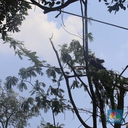 Heboh Fenomena Hujan Es di Depok, BMKG Ungkap Faktanya