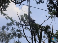 Heboh Fenomena Hujan Es di Depok, BMKG Ungkap Faktanya