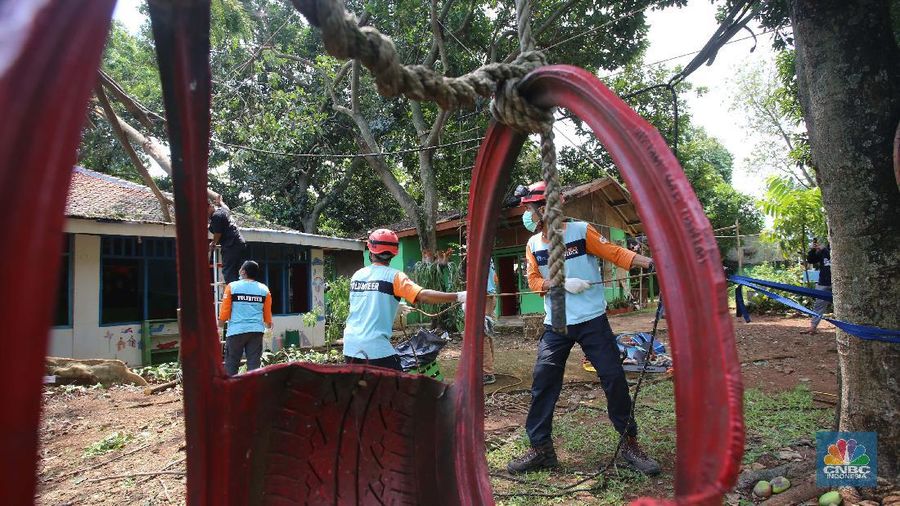 Sejumlah relawan dibantu para guru sekolah alam saat melakukan evakuasi pohon tumbang akibat puting beliung di Depok, Jawa Barat, Rabu 22 September 2021. Kawasan Depok dilanda hujan angin hingga hujan es di daerah Beji, Kota Depok kemarin (21/9) sore. Akibat hujan angin di Depok, pohon tumbang pun tak bisa dielakkan. Berdasarkan data Pemadam Kebakaran (Damkar), setidaknya ada enam lokasi pohon tumbang di Depok. Sejumlah relawan hingga kini mengevakuasi potongan pohon yg menimpa bagian yang rusak  kanopi. Akibat kejadian tersebut proses kegiatan belajar mengajar untuk sementara diberhentikan. Salah satu guru di sekolah alam, Ode mengatakan tidak ada korban jiwa. Kerugian hanya materil dan  pohon yang menimpa atap sekolah. (CNBC Indonesia/ Muhammad Sabki)