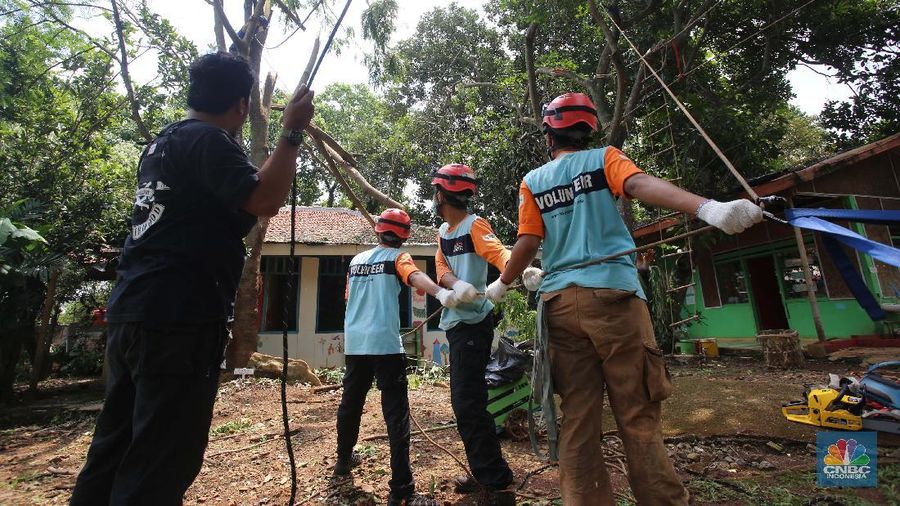 Sejumlah relawan dibantu para guru sekolah alam saat melakukan evakuasi pohon tumbang akibat puting beliung di Depok, Jawa Barat, Rabu 22 September 2021. Kawasan Depok dilanda hujan angin hingga hujan es di daerah Beji, Kota Depok kemarin (21/9) sore. Akibat hujan angin di Depok, pohon tumbang pun tak bisa dielakkan. Berdasarkan data Pemadam Kebakaran (Damkar), setidaknya ada enam lokasi pohon tumbang di Depok. Sejumlah relawan hingga kini mengevakuasi potongan pohon yg menimpa bagian yang rusak  kanopi. Akibat kejadian tersebut proses kegiatan belajar mengajar untuk sementara diberhentikan. Salah satu guru di sekolah alam, Ode mengatakan tidak ada korban jiwa. Kerugian hanya materil dan  pohon yang menimpa atap sekolah. (CNBC Indonesia/ Muhammad Sabki)