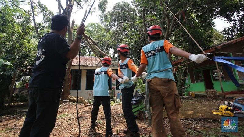Sejumlah relawan dibantu para guru sekolah alam saat melakukan evakuasi pohon tumbang akibat puting beliung di Depok, Jawa Barat, Rabu 22 September 2021. Kawasan Depok dilanda hujan angin hingga hujan es di daerah Beji, Kota Depok kemarin (21/9) sore. Akibat hujan angin di Depok, pohon tumbang pun tak bisa dielakkan. Berdasarkan data Pemadam Kebakaran (Damkar), setidaknya ada enam lokasi pohon tumbang di Depok. Sejumlah relawan hingga kini mengevakuasi potongan pohon yg menimpa bagian yang rusak  kanopi. Akibat kejadian tersebut proses kegiatan belajar mengajar untuk sementara diberhentikan. Salah satu guru di sekolah alam, Ode mengatakan tidak ada korban jiwa. Kerugian hanya materil dan  pohon yang menimpa atap sekolah. (CNBC Indonesia/ Muhammad Sabki)