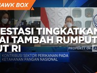 Cara KKP Genjot Investasi Tingkatkan Nilai Tambah Rumput Laut