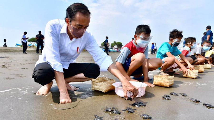 Presiden Jokowi Melakukan Pelepasan Tukik di Pantai Kemiren, Desa Griya Tegalsari, Kelurahan Tegal Kamulyan, Kecamatan Cilacap Selatan, Kabupaten Cilacap, Provinsi Jawa Tengah. (Biro Pers Media Setpres/Agus Suparto)