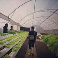Efek ke Puncak Ribet, Kawasan ini Ramai Didatangi Warga JKT