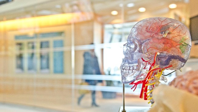 Singapura Bangun Komputer Pakai Sel Otak Biar Hemat Listrik