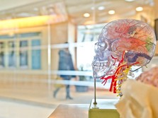 Ini Lho 3 Kebiasaan Buruk Pemicu Stroke yang Sering Diabaikan