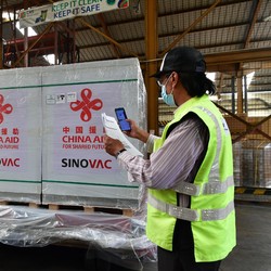 Anda Pengguna Vaksin Covid Sinovac? Cek! Ada Pesan dari WHO