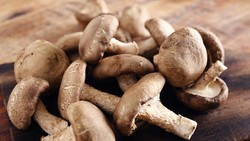 Vitamin D Tak Harus dari Suplemen, Ini Makanan Sumber Alaminya