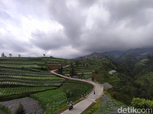 Jalan Tol Tercantik di Indonesia Itu Dua-duanya Ada di Jawa Tengah