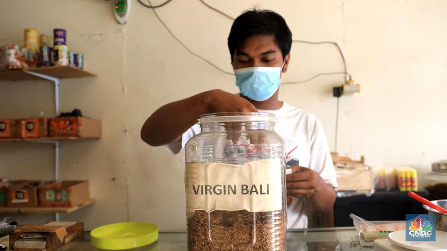 Danil penjaga toko tembakau melinting rokok tembakau di ruko kawasan Ciputat, Tangerang Selatan, Jumat, 24/9. Penjualan rokok linting kini semakin diminati masyarakat, tidak hanya kalangan tua, tetapi juga oleh anak muda. Geliat rokok linting atau linting dewe (tingwe) yang dulunya dianggap lama, sekarang dapat bersaing dengan eksistensi rokok elektrik (vape). Danil mengatakan usaha menjual tembakau ini mulai sejak 2017 di Depok. 