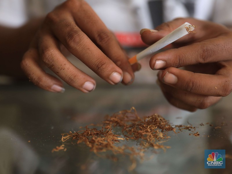 Danil penjaga toko tembakau melinting rokok tembakau di ruko kawasan Ciputat, Tangerang Selatan, Jumat, 24/9. Penjualan rokok linting kini semakin diminati masyarakat, tidak hanya kalangan tua, tetapi juga oleh anak muda. Geliat rokok linting atau linting dewe (tingwe) yang dulunya dianggap lama, sekarang dapat bersaing dengan eksistensi rokok elektrik (vape). Danil mengatakan usaha menjual tembakau ini mulai sejak 2017 di Depok. 