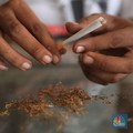 Masyarakat RI Kompak Pindah ke Rokok Murah, Ini Respons Bea Cukai