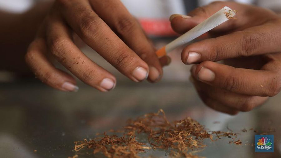 Danil penjaga toko tembakau melinting rokok tembakau di ruko kawasan Ciputat, Tangerang Selatan, Jumat, 24/9. Penjualan rokok linting kini semakin diminati masyarakat, tidak hanya kalangan tua, tetapi juga oleh anak muda. Geliat rokok linting atau linting dewe (tingwe) yang dulunya dianggap lama, sekarang dapat bersaing dengan eksistensi rokok elektrik (vape). Danil mengatakan usaha menjual tembakau ini mulai sejak 2017 di Depok. 