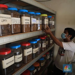 Sri Mulyani Bagi DBH Tembakau Rp 5,47 Triliun, Siapa Dapat?