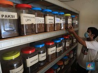 Sri Mulyani Bagi DBH Tembakau Rp 5,47 Triliun, Siapa Dapat?