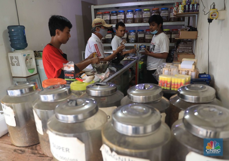 Danil penjaga toko tembakau melinting rokok tembakau di ruko kawasan Ciputat, Tangerang Selatan, Jumat, 24/9. Penjualan rokok linting kini semakin diminati masyarakat, tidak hanya kalangan tua, tetapi juga oleh anak muda. Geliat rokok linting atau linting dewe (tingwe) yang dulunya dianggap lama, sekarang dapat bersaing dengan eksistensi rokok elektrik (vape). Danil mengatakan usaha menjual tembakau ini mulai sejak 2017 di Depok. 