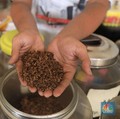 Warga RI Ramai-Ramai Pindah ke Rokok Murah, Ini Respons Bea Cukai