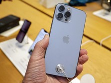 Apple iPhone Jadi Raja di Kandang Xiaomi, Vivo, Oppo, Honor