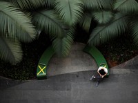 Ini Kronologi Ledakan Covid Singapura hingga Salip RI