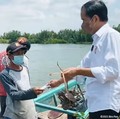 Kisah Kepiting Pak Yatiman & Sebuah Amplop Putih dari Jokowi