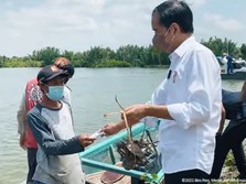 Kisah Kepiting Pak Yatiman & Sebuah Amplop Putih dari Jokowi