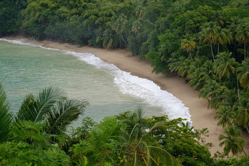 Bawana Beach, Sumba Bawana Beach, Sumba (Photo by Delphine Fant on Unsplash)
