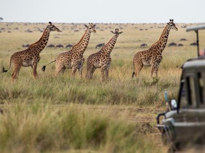 Afrika Terbelah Dua, Samudra Baru Bakal Muncul di Tengah Benua