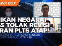Bisa Rugikan PLN, IRESS Tolak Revisi Tarif Ekspor PLTS Atap!