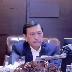 Luhut Bicara Soal Antisipasi RI dari Gelombang 3 Covid