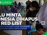 Menlu Minta Indonesia Dihapus dari Red List Covid-19