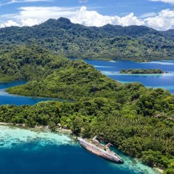 Tanda Kiamat Kian Nyata, 10 Negara Terancam Punah Termasuk Tetangga RI