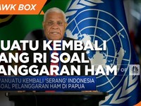 Vanuatu Kembali 'Serang' RI Soal Pelanggaran HAM di Papua