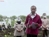 Tersisa 3 Bulan, Jokowi Bakal Keliling RI Tanam Mangrove!